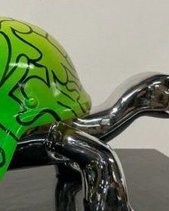 Tortue pour la paix - Van Apple